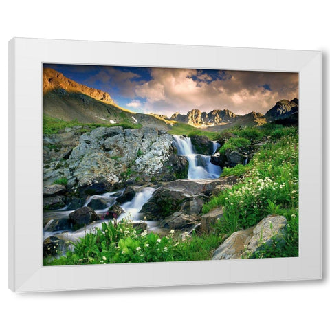A spring cascade with white wildflowers in American Basin in the Colorado Rocky Mountains White Modern Wood Framed Art Print by SMO