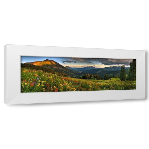 Colorado-Crested Butte-wildflowers White Modern Wood Framed Art Print by SMO