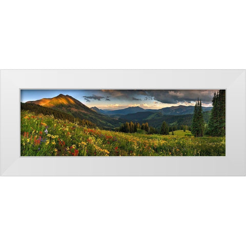 Colorado-Crested Butte-wildflowers White Modern Wood Framed Art Print by SMO