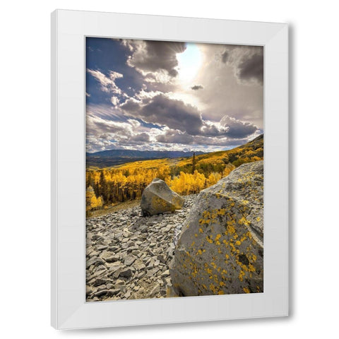 A valley of gold Aspen on Ohio Pass in the Colorado Rocky Mountains near Crested Butte White Modern Wood Framed Art Print by SMO