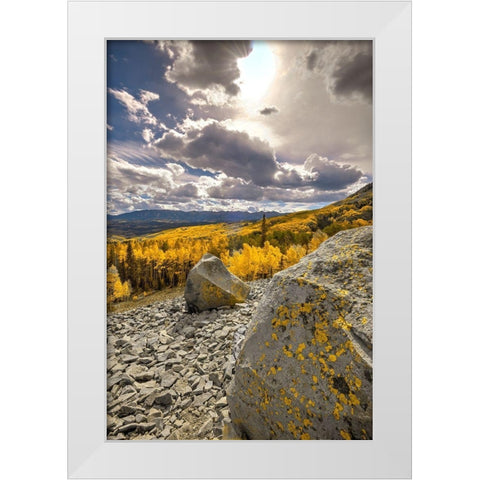 A valley of gold Aspen on Ohio Pass in the Colorado Rocky Mountains near Crested Butte White Modern Wood Framed Art Print by SMO