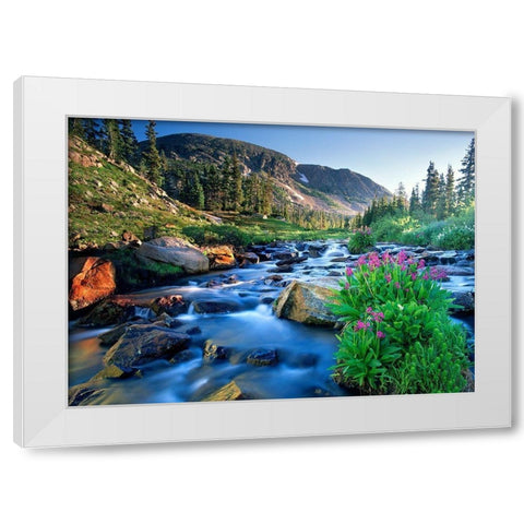Fresh Rocky Mountain spring runoff cascades past wildflowers in bloom White Modern Wood Framed Art Print by SMO