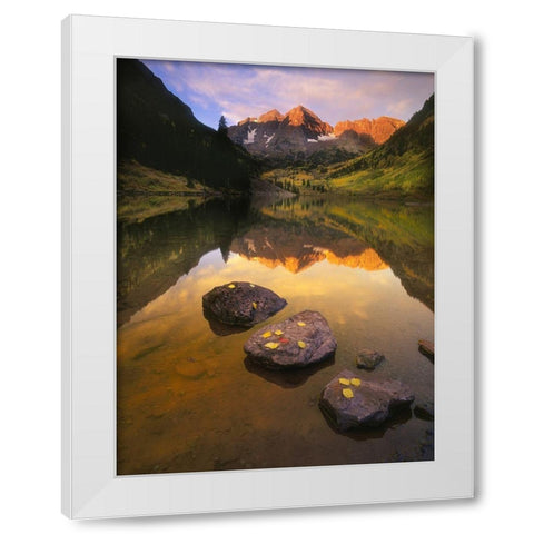 Aspen leaves signify the end of Fall and the beginning of winter at the maroon bells White Modern Wood Framed Art Print by SMO