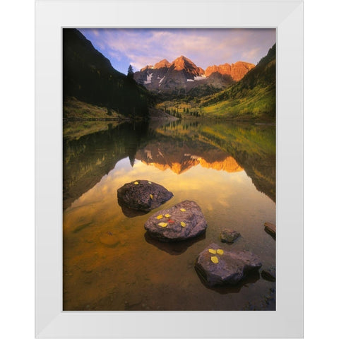 Aspen leaves signify the end of Fall and the beginning of winter at the maroon bells White Modern Wood Framed Art Print by SMO