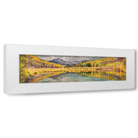 Mt Snaffles and a sea of gold Aspen trees reflects in a large pond in autumn White Modern Wood Framed Art Print by SMO