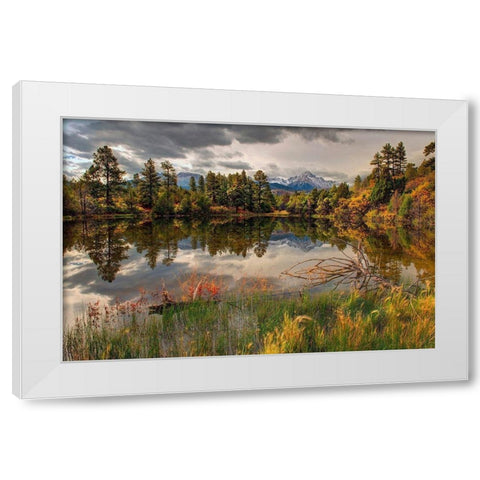 A tranquil pond reflects Mt Snaffles and Fall in the Colorado Rocky Mountains White Modern Wood Framed Art Print by SMO