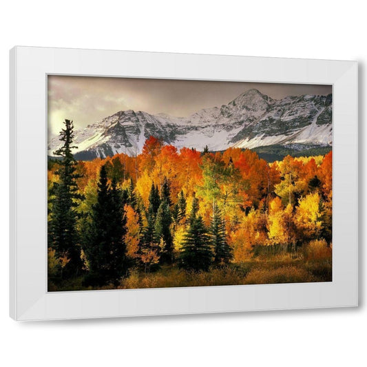Perspective Image