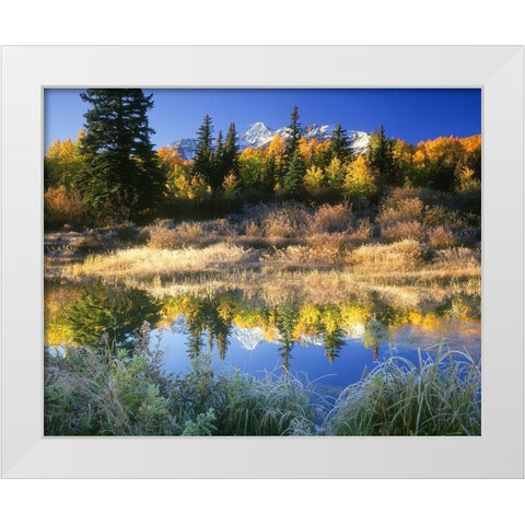 Wilson Peak near Telluride in the Colorado Rocky Mountains White Modern Wood Framed Art Print by SMO