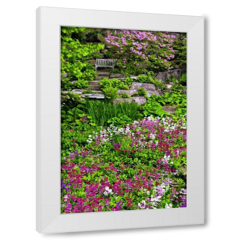 Delaware, Wilmington Flower abound in garden White Modern Wood Framed Art Print by OBrien, Jay