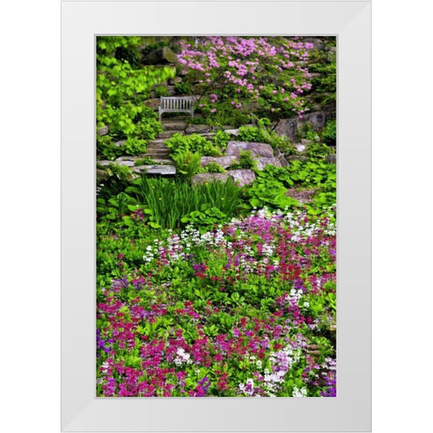 Delaware, Wilmington Flower abound in garden White Modern Wood Framed Art Print by OBrien, Jay
