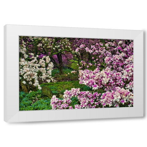 Delaware, Wilmington Flower and trees in garden White Modern Wood Framed Art Print by OBrien, Jay