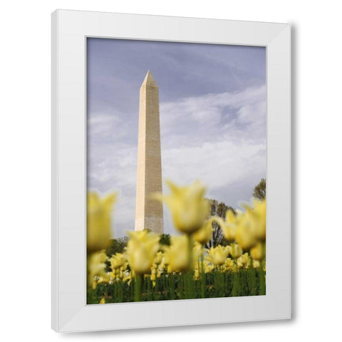 Washington DC, The Washington Monument White Modern Wood Framed Art Print by Flaherty, Dennis