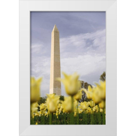 Washington DC, The Washington Monument White Modern Wood Framed Art Print by Flaherty, Dennis