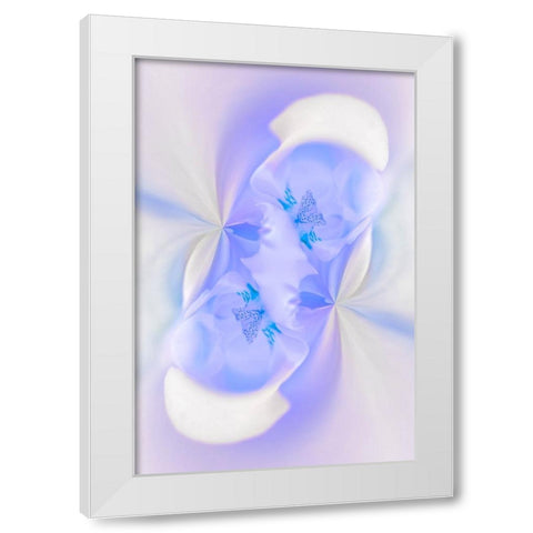 White Orchid flower-Florida White Modern Wood Framed Art Print by Jones, Adam