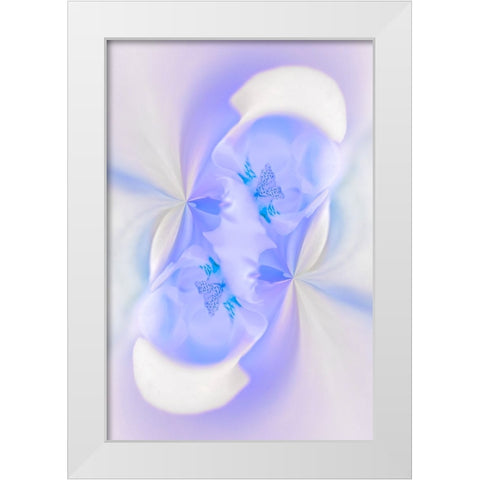 White Orchid flower-Florida White Modern Wood Framed Art Print by Jones, Adam