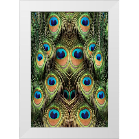 Male Peafowl feather pattern-Florida White Modern Wood Framed Art Print by Jones, Adam