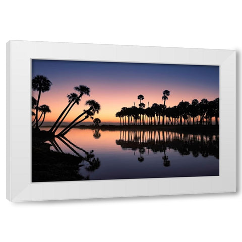 Sable palms silhouetted at sunrise on the Econlockhatchee River White Modern Wood Framed Art Print by Jones, Adam