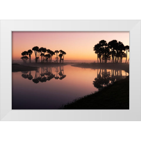 Sable palms silhouetted at sunrise on the Econlockhatchee River White Modern Wood Framed Art Print by Jones, Adam