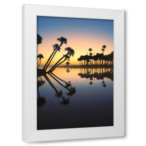 Sable palms silhouetted at sunrise on the Econlockhatchee River White Modern Wood Framed Art Print by Jones, Adam
