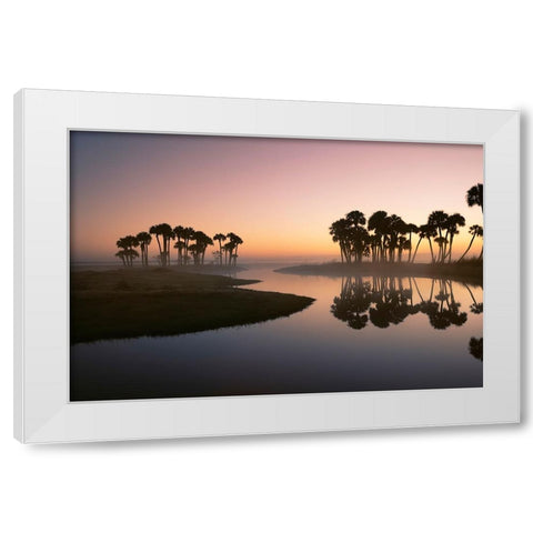 Sable palms silhouetted at sunrise on the Econlockhatchee River White Modern Wood Framed Art Print by Jones, Adam