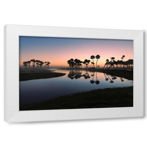 Sable palms silhouetted at sunrise on the Econlockhatchee River White Modern Wood Framed Art Print by Jones, Adam