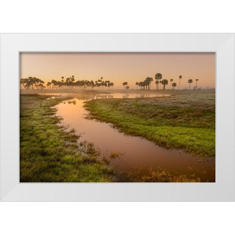 Sable palms silhouetted at sunrise on the Econlockhatchee River White Modern Wood Framed Art Print by Jones, Adam