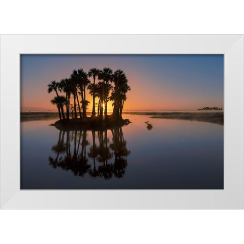 Sable palms silhouetted at sunrise on the Econlockhatchee River White Modern Wood Framed Art Print by Jones, Adam
