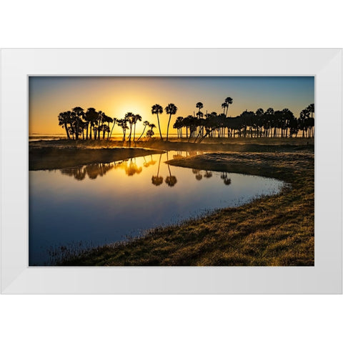 Sable palms silhouetted at sunrise on the Econlockhatchee River White Modern Wood Framed Art Print by Jones, Adam