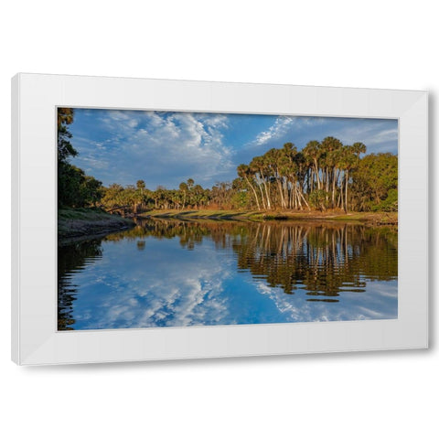 Sable palms reflected on the Econlockhatchee River White Modern Wood Framed Art Print by Jones, Adam