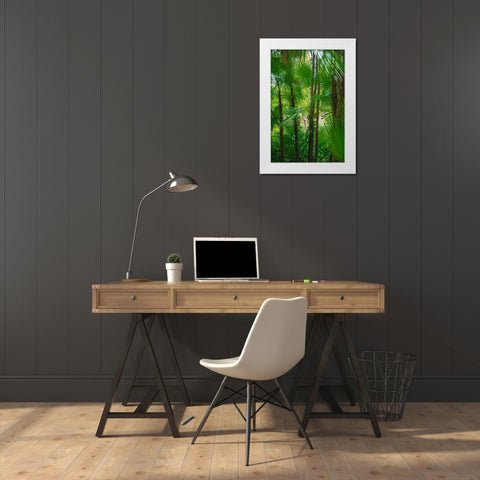 Florida-Tropical Garden Palms White Modern Wood Framed Art Print by Miller, Anna
