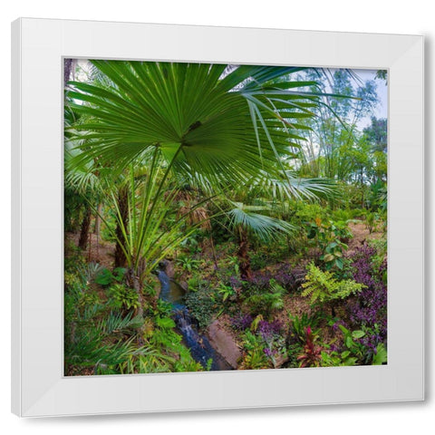 Florida-Tropical Garden with Palm Frond White Modern Wood Framed Art Print by Miller, Anna