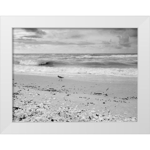 Black and white Beach-Sanibel Island-Florida-USA White Modern Wood Framed Art Print by Miller, Anna
