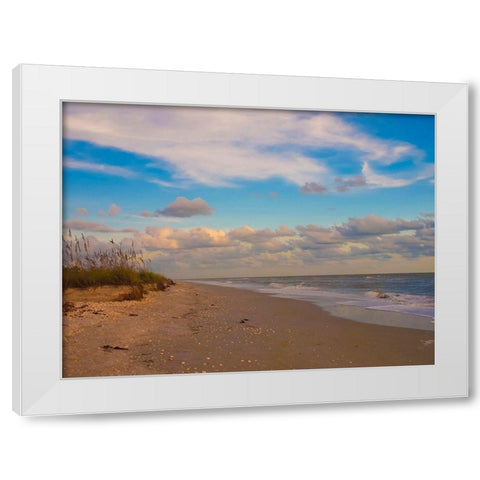 Beach-Sanibel Island-Florida-USA White Modern Wood Framed Art Print by Miller, Anna