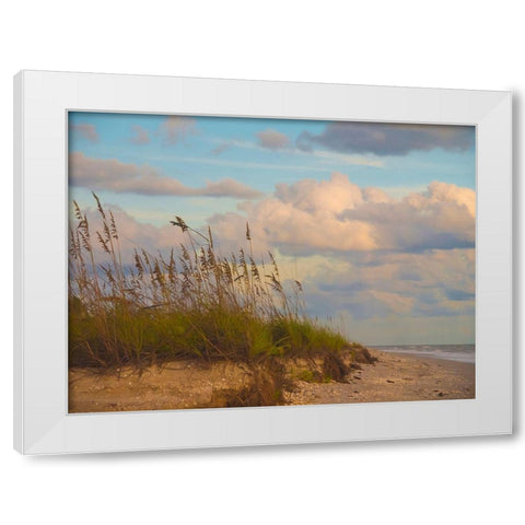Beach-Sanibel Island-Florida-USA White Modern Wood Framed Art Print by Miller, Anna