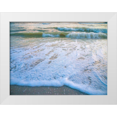 Sanibel Island-Florida-USA White Modern Wood Framed Art Print by Miller, Anna