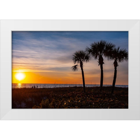 USA-Florida-Sarasota-Crescent Beach-Siesta Key-Sunset White Modern Wood Framed Art Print by Friel, Bernard