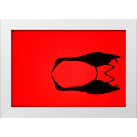 FL, Ding Darling NWR Silhouette of a heron White Modern Wood Framed Art Print by Morris, Arthur