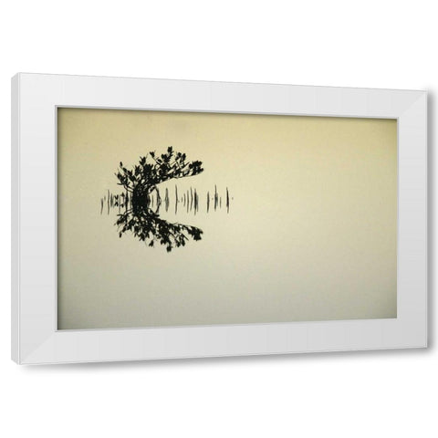 FL, Titusvulle, Merritt Island NWR Mangrove White Modern Wood Framed Art Print by Morris, Arthur