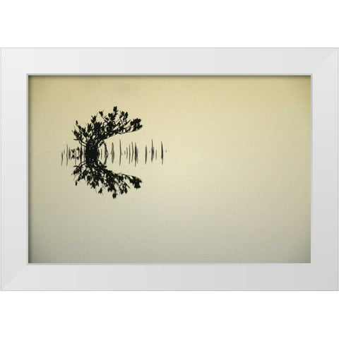 FL, Titusvulle, Merritt Island NWR Mangrove White Modern Wood Framed Art Print by Morris, Arthur