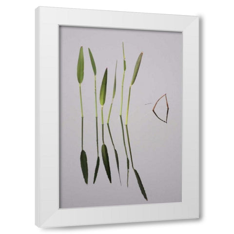 FL, Melbourne Water plants in the Viera Wetlands White Modern Wood Framed Art Print by Morris, Arthur