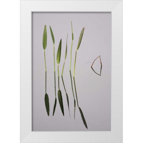 FL, Melbourne Water plants in the Viera Wetlands White Modern Wood Framed Art Print by Morris, Arthur