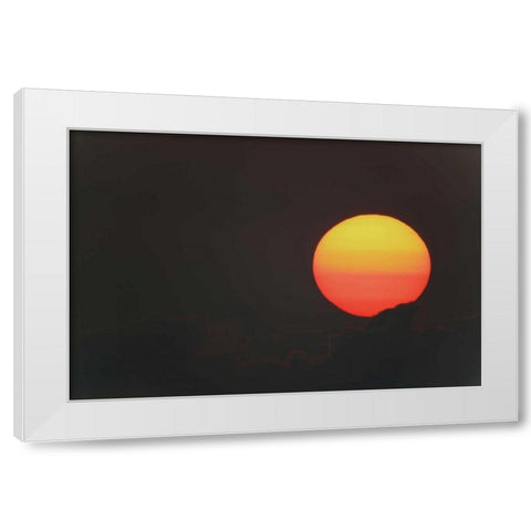 FL, Blue Cypress Lake Sunrise globe with clouds White Modern Wood Framed Art Print by Morris, Arthur