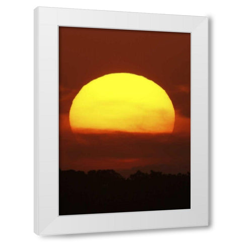 FL, Vierra Wetlands Giant sun at sunset White Modern Wood Framed Art Print by Morris, Arthur