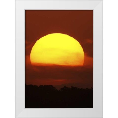 FL, Vierra Wetlands Giant sun at sunset White Modern Wood Framed Art Print by Morris, Arthur