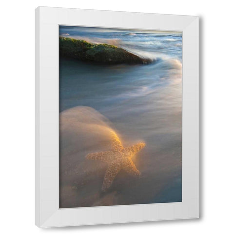 USA, Florida, St Augustine White Modern Wood Framed Art Print by Rotenberg, Nancy