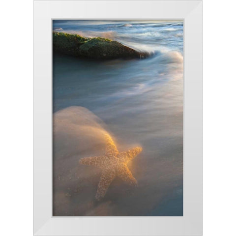 USA, Florida, St Augustine White Modern Wood Framed Art Print by Rotenberg, Nancy