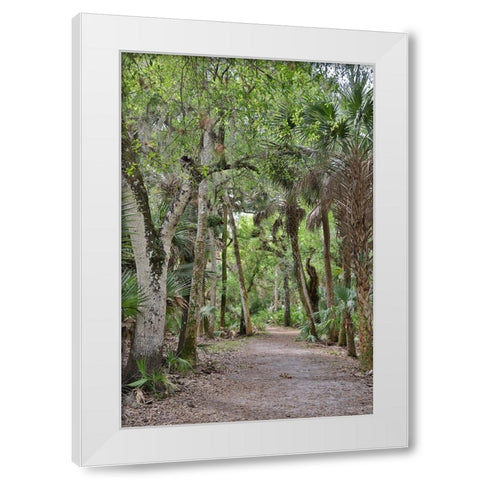 USA-Florida-Sarasota-Myakka River State Park White Modern Wood Framed Art Print by Looney, Hollice