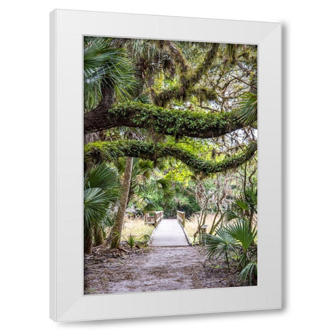 USA-Florida-Sarasota-Myakka River State Park White Modern Wood Framed Art Print by Looney, Hollice