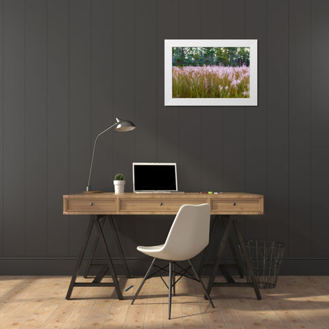 Blooming Muhly grass in a prairie managed by prescribed fire White Modern Wood Framed Art Print by Richardson, Larry