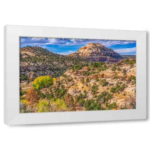 Colorful Autumn-Canyonlands National Park-Needles District-Utah White Modern Wood Framed Art Print by Perry, William